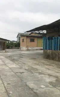 کارشناس صنایع غذایی