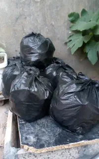 ذغال مرغوب
