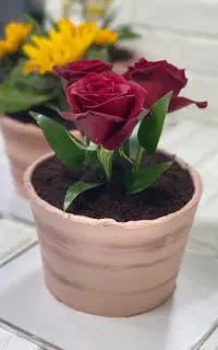 آموزشی هنری