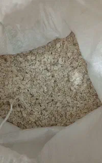 جو پرک ودوسر پرک