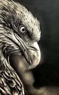 آموزش نقاشی از مبتدی تا پیشرفته