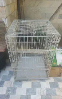 قفس کاسکو ابعاد ۸۵ در۵۸ بزرگ سالم
