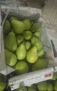 شیره گلابی و گلابی شیرین تحویل درب منزل