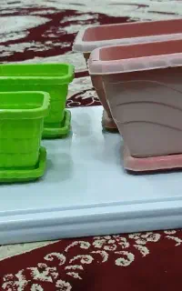 گلدان