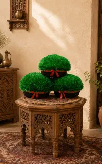 بافتنی