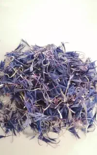 گلبرگ گل گندم