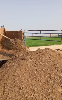 کود مرغ موجود