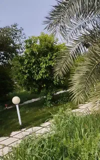 باغبانی ویلا و درختکاری