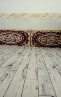 یک خفت پشتی ماشینی سالم