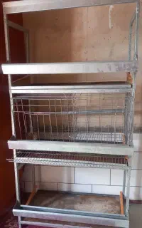 قفس مرغ تخم گذار