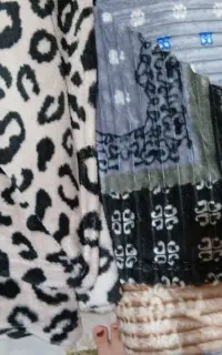 پتومسافرتی