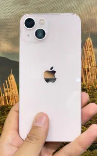 13 normal