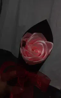 شاخه گل روبانی