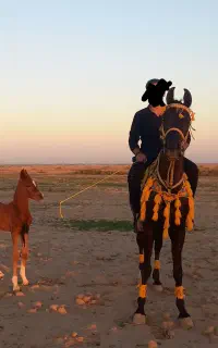 دشت عباس روستای فتح