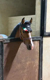 کره مادیون دره شوری