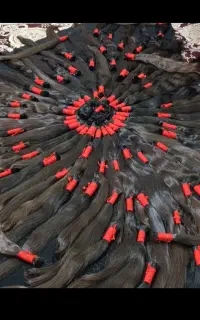 کارگاه تخصصی مو