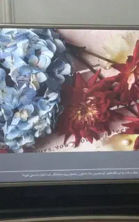 تلویزیون الجی ۴۹ اینچ ۴K هوشمند با کارتن،موس کنترل