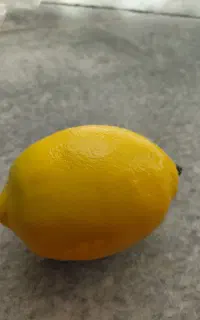 لیمو مصنوعی