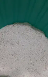 برنج طارم امرللهی ییلاق(دودانگه)
