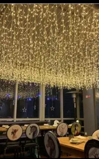 ریسه های خوشه ای نواری نئونی انواع ریسه