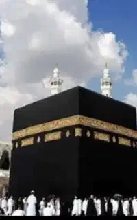 فروش دو عدد فیش حج عمره اولویت اول سال ۸۶