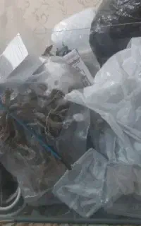 آکواریوم با لوازم