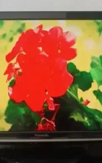 تلوزیون 42اینچ پاناسونیک