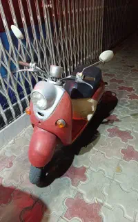 پاکشتی وینو