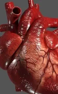 تدریس خصوصی زیست‌شناسی  پایه تا کنکور + تیزهوشان