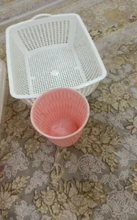 سیخ کوچک جعبه کوچک