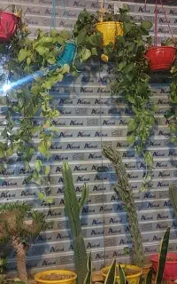 گل طبیعی
