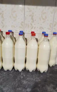 فروش دوغ محلی با کره محلی