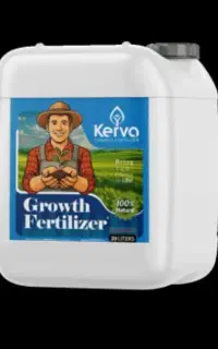 محصولات کشاورزی