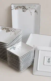 ظروف چینی