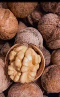 150کیلو گردو خشک