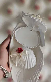 گیفت صدف ۵۰ عدد