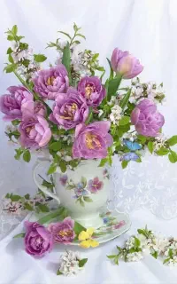 شرکت خدماتی آرامیس/سالمند،کودک،امورمنزل،تنظیفات