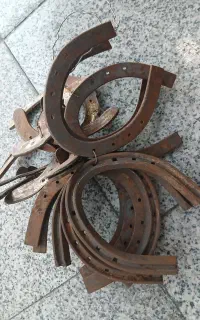 نعل اسب