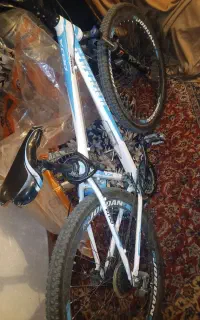 دوچرخه
