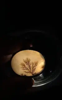 انگشتر شجر دست‌ساز
