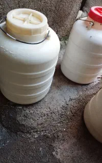 دوغ ( خسه دوغ) دوی دوچن
