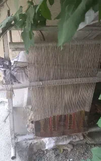 دارقالی محکم سالم باقیمت مناسب ب فروش میرسه