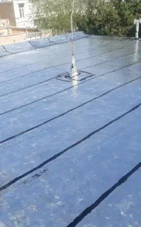 ایزوگام اصغر بهاوری