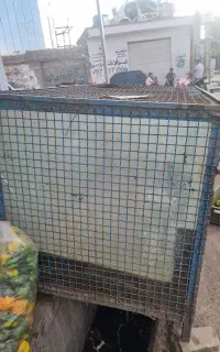 اکواریوم