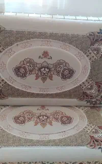 ۶عددپشتی