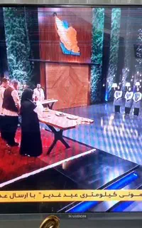 تلویزیون ۴۳ ایکس ویژن