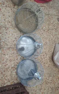 قفس