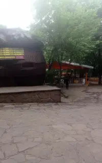 نیرو کار شهر بازی