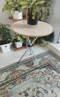 میزحاطره