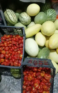 هندوانه محلی، خربزه محلی، گوجه محلی،موسی بن جعفر30